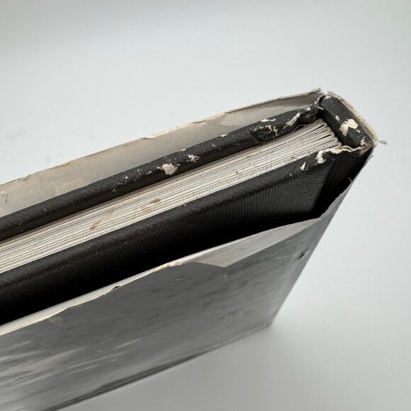 Vintage Marlene Dietrich A Hollywood Portrait Coffee Table Book - Picture 7 of 13